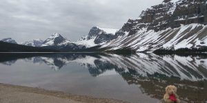 Bow Lake – Crowfoot Glacier