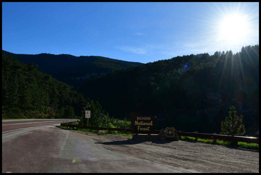 Bighorn National Forest