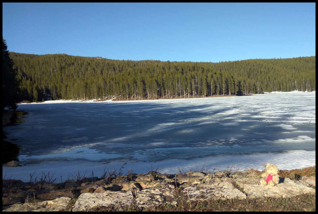 Sibley Lake