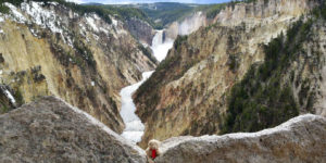 Visitar Yellowstone 3 días
