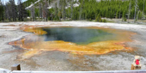 Qué ver en Yellowstone