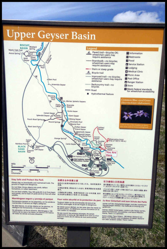 Información de Upper Geyser Basin