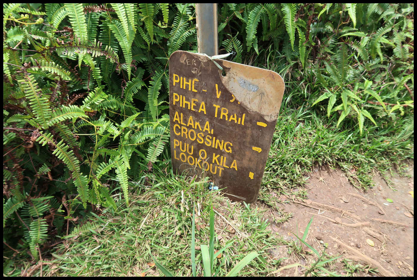 Información - Pihea Trail