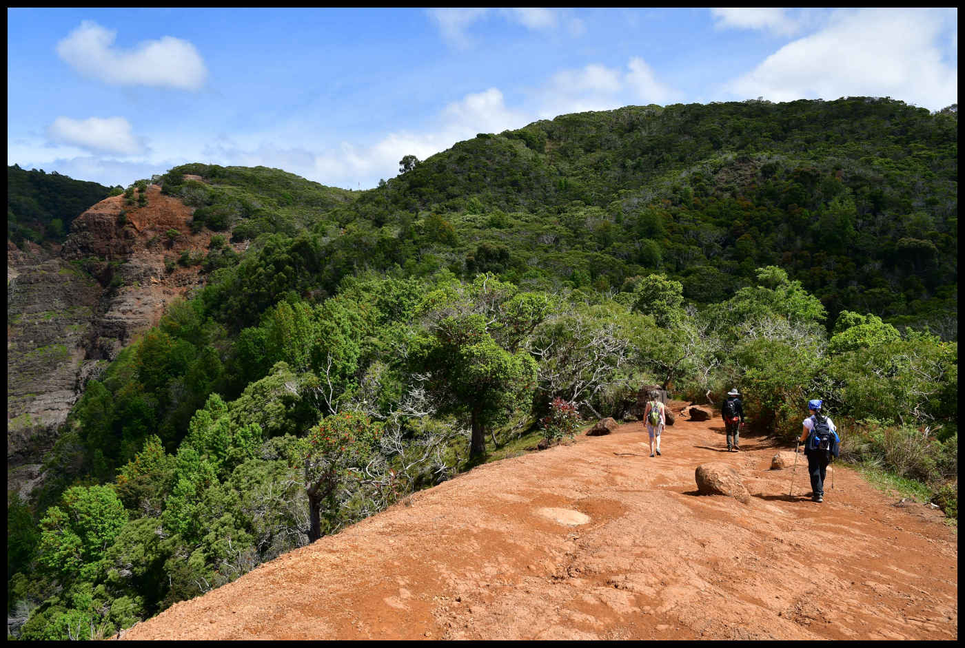 Waimea Canyon Trail