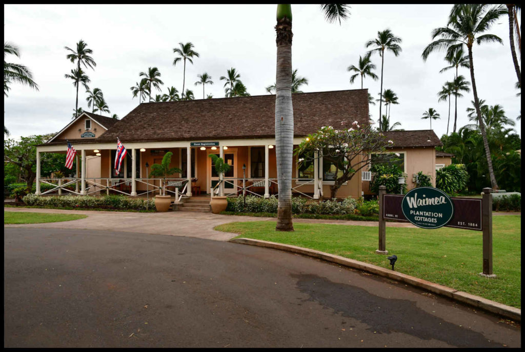 Visitar Waimea Canyon