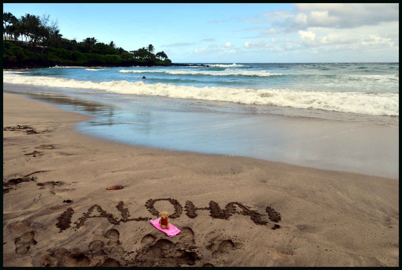 Información y Recomendaciones si vas a viajar a Hawái