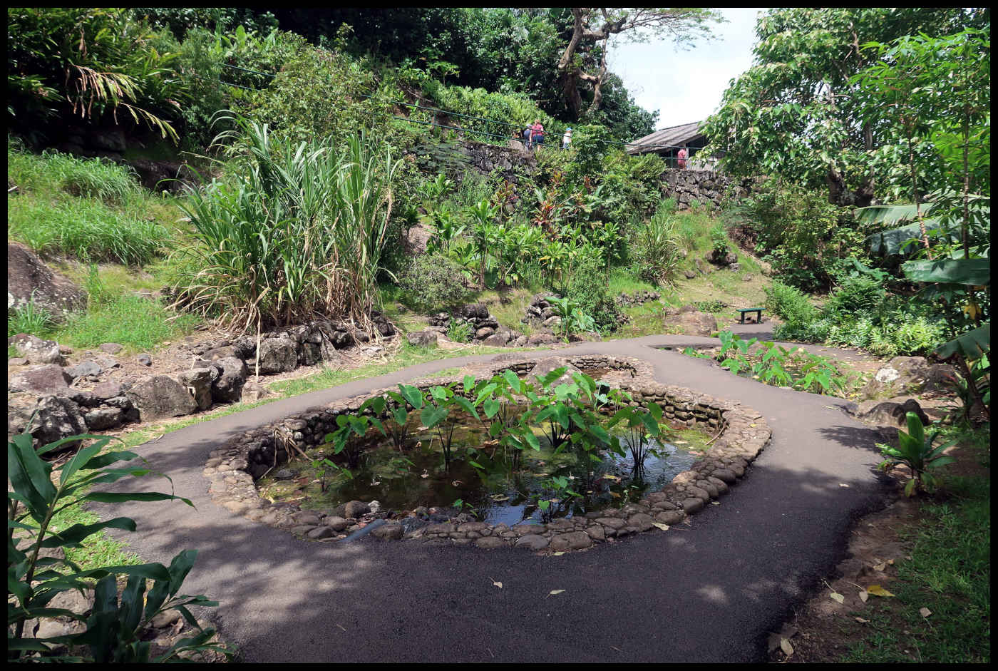 Jardín Botánico - ʻĪao Needle State Monument