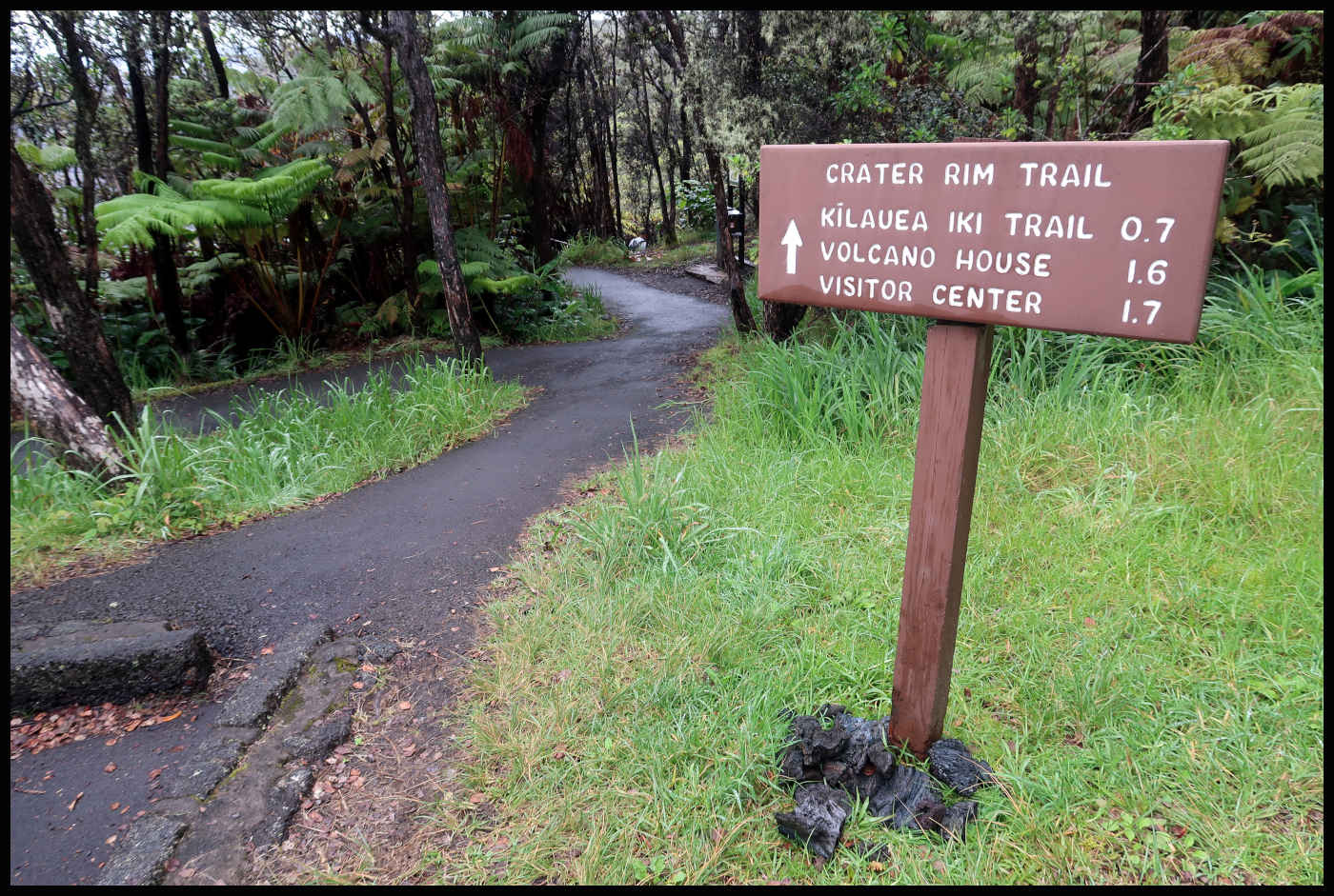 Información de Kilauea Iki Trail