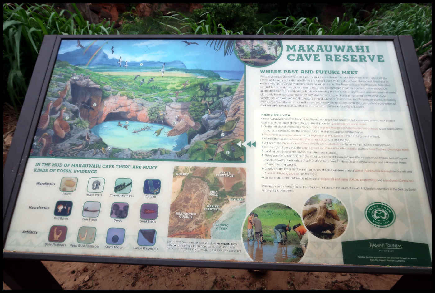 Información - Makauwahi Cave Trail
