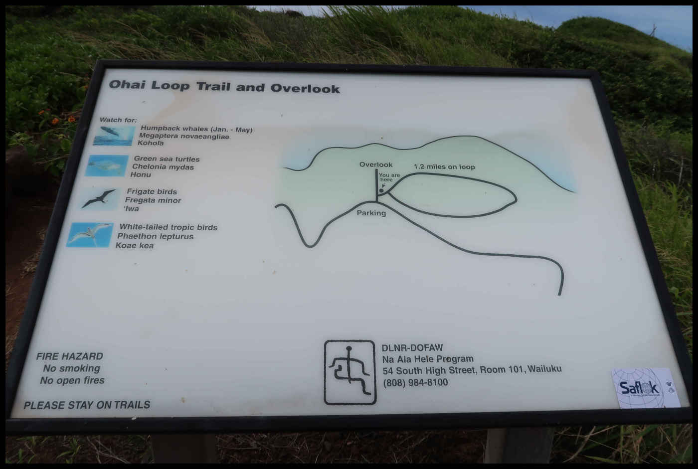Información de Ohai Loop Trail