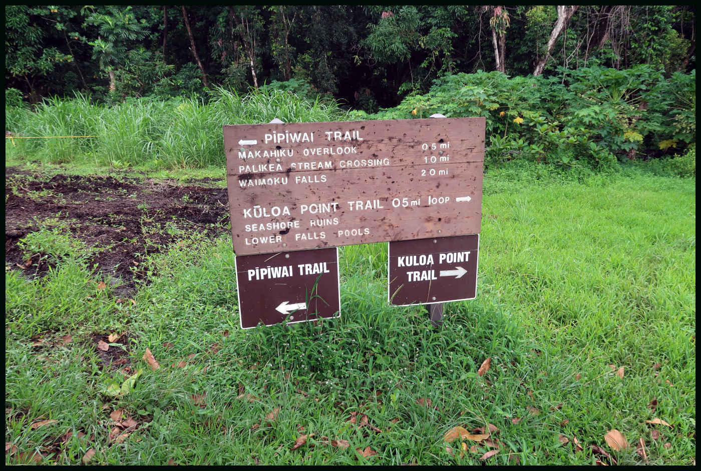 Información de Pipiwai Trail