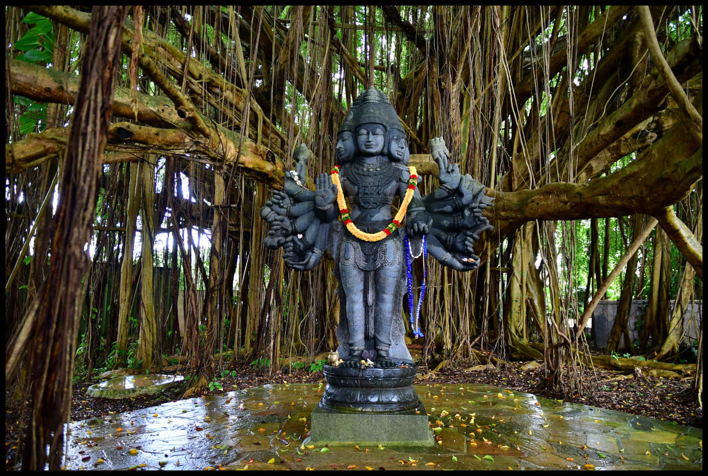 Lord Shanmuga - Kauai's Hindu Monastery