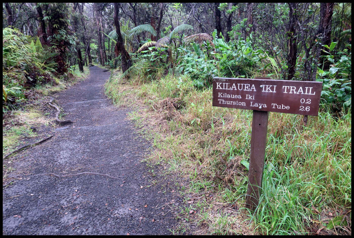Información de Kilauea Iki Trail