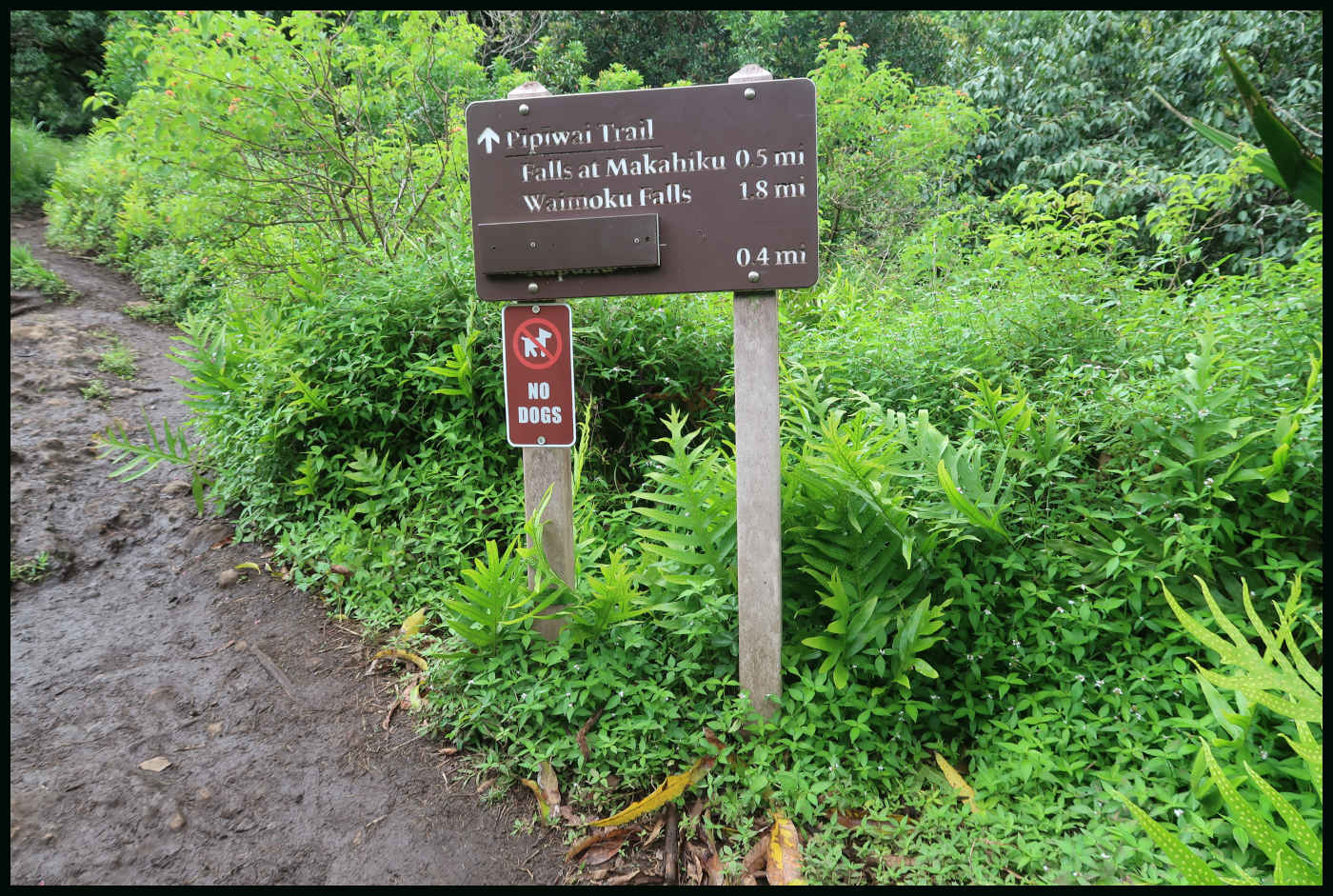 Información de Pipiwai Trail