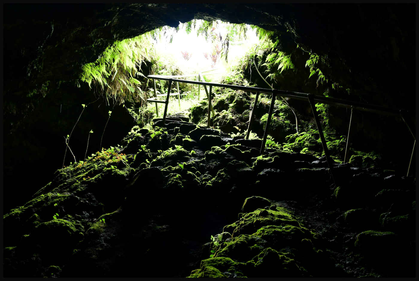 Skylight desde dentro de la cueva