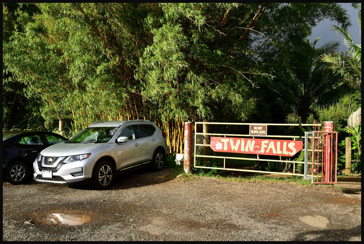 Twin Falls Parking