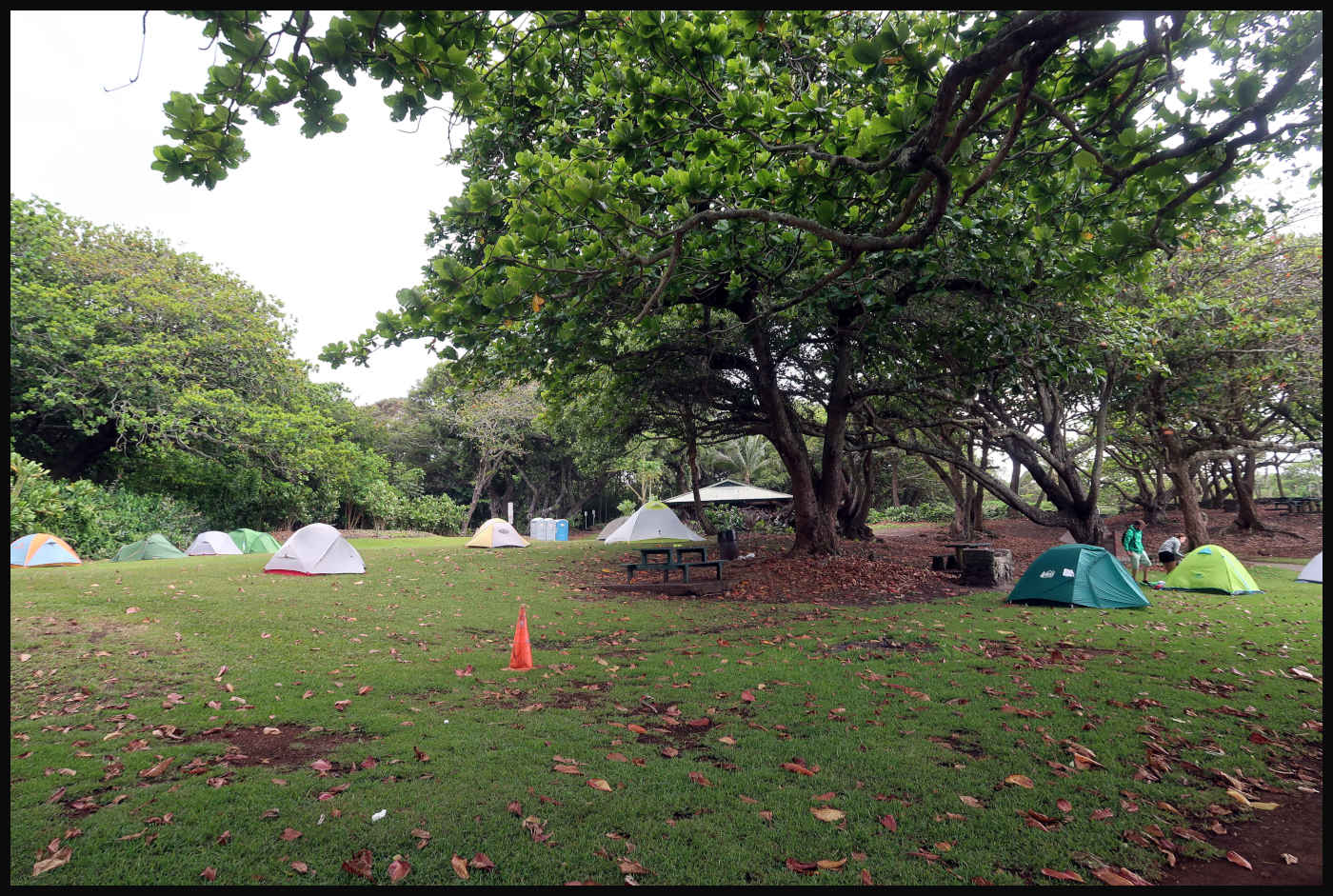 Waianapanapa State Park Camping