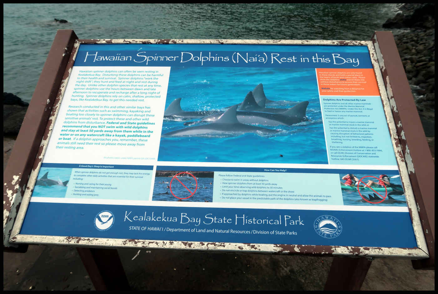 Delfines desde Kealakekua Bay State Historical Park