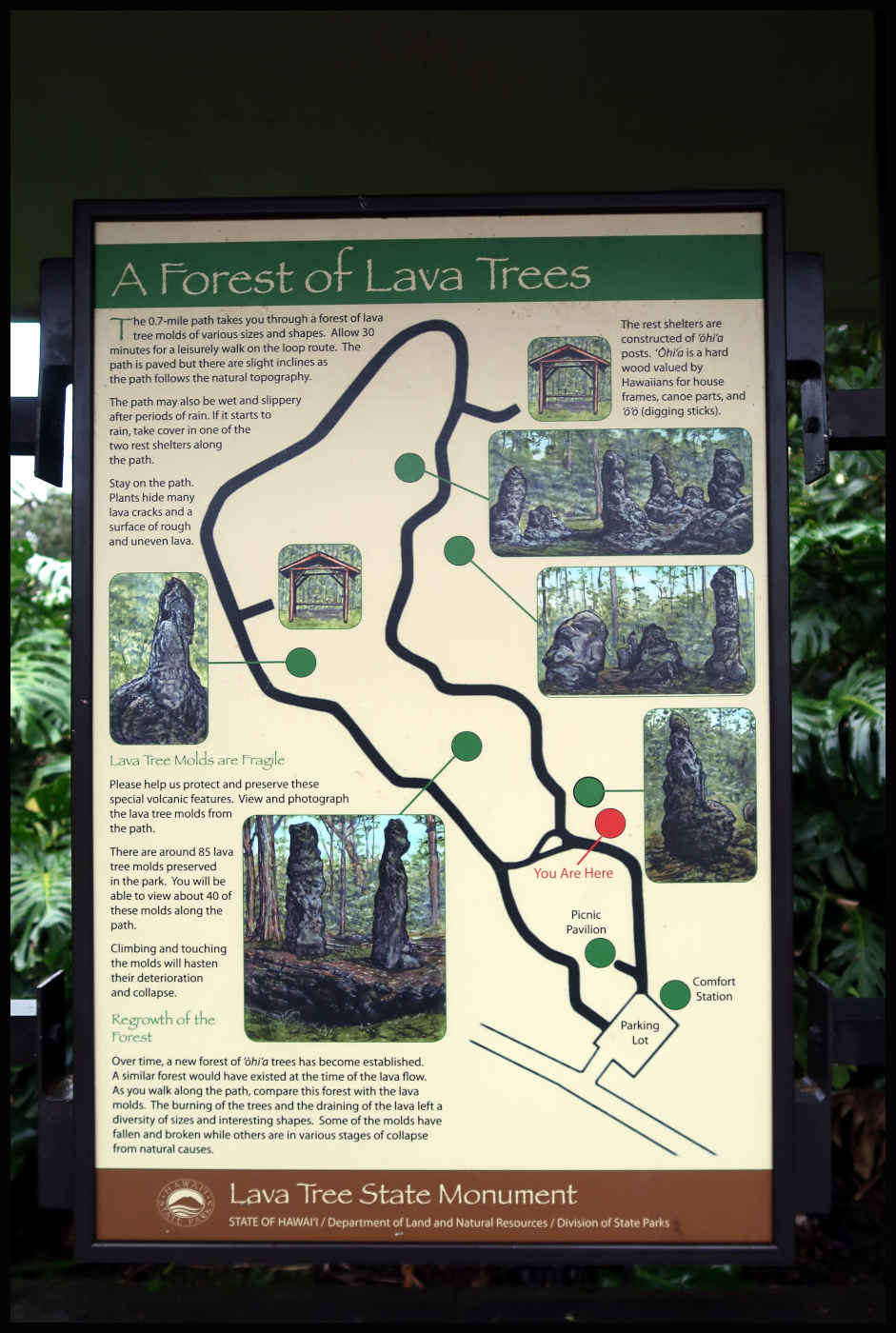 Información de Lava Tree State Monument