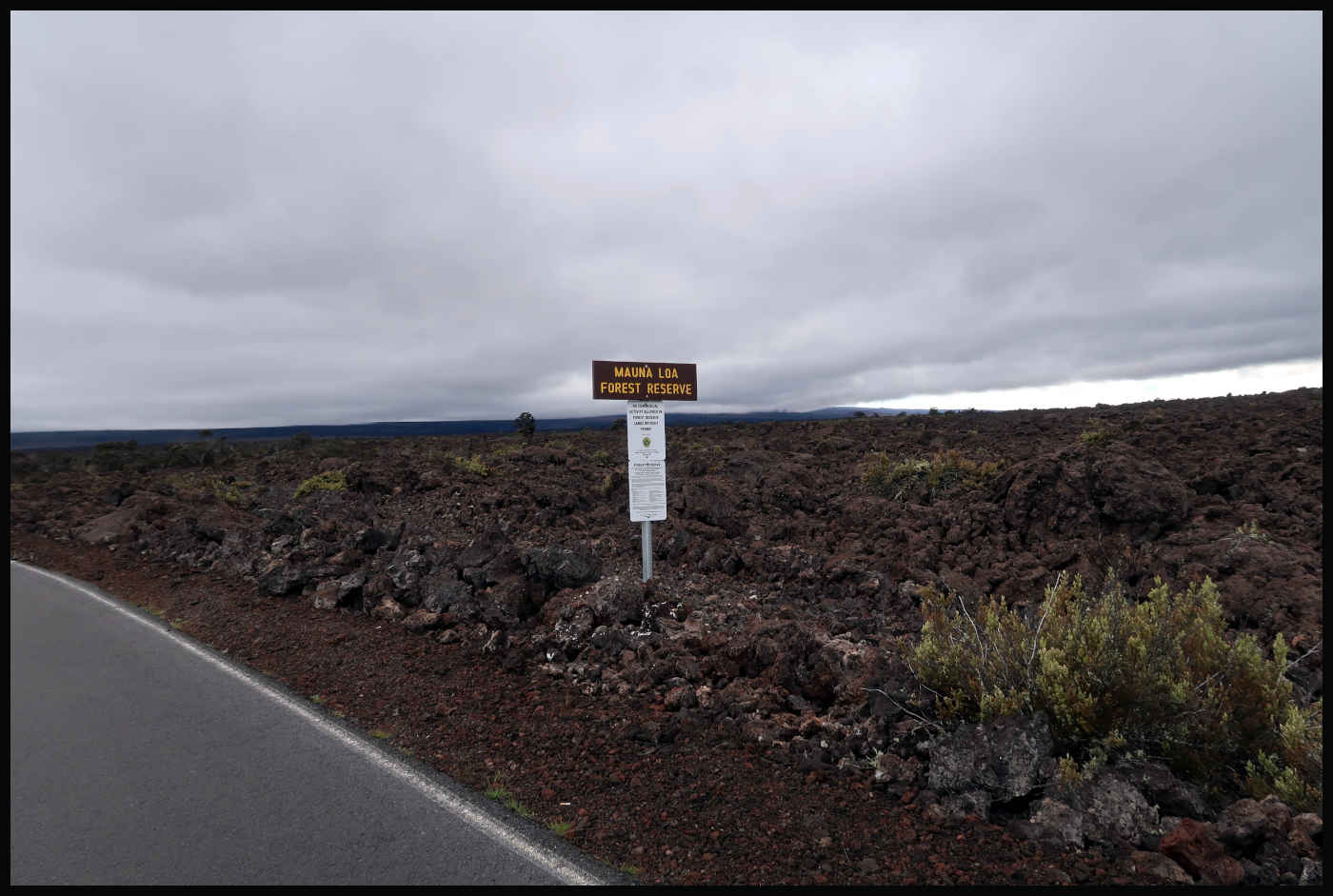 Información - Mauna Loa Forest Reserve