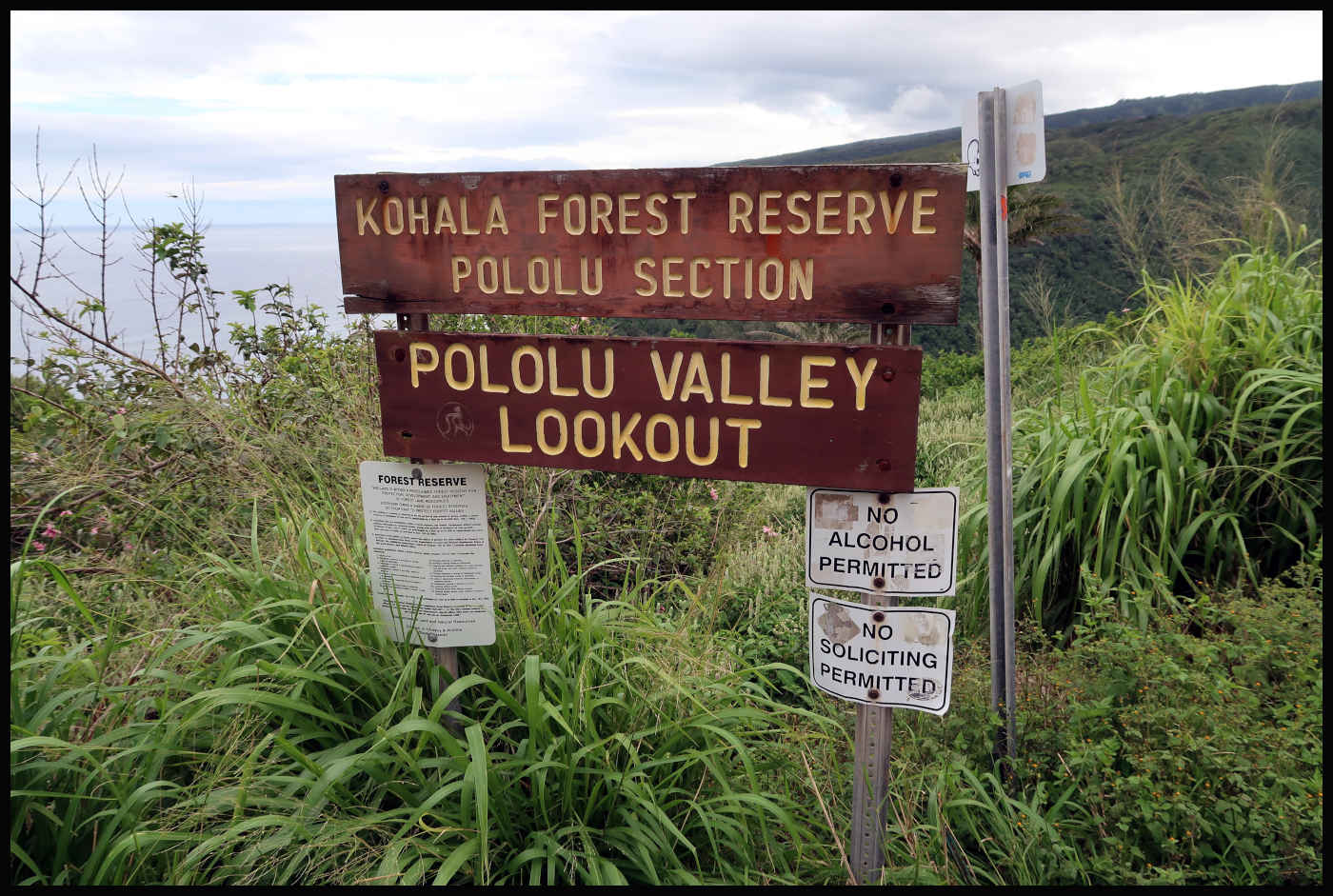 Información de Pololū Valley Lookout