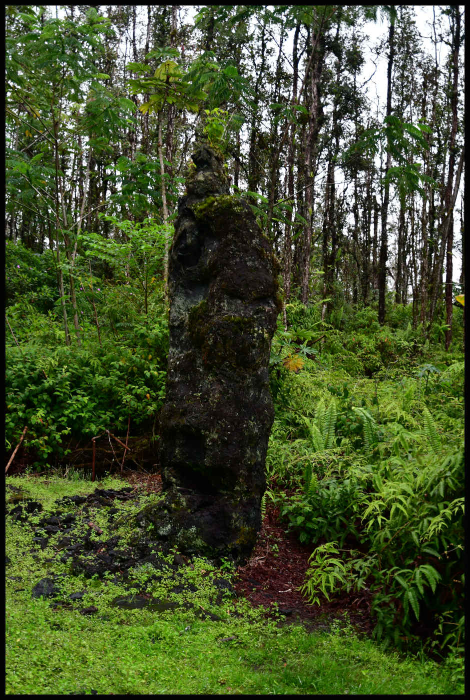 Lava Tree State Monument