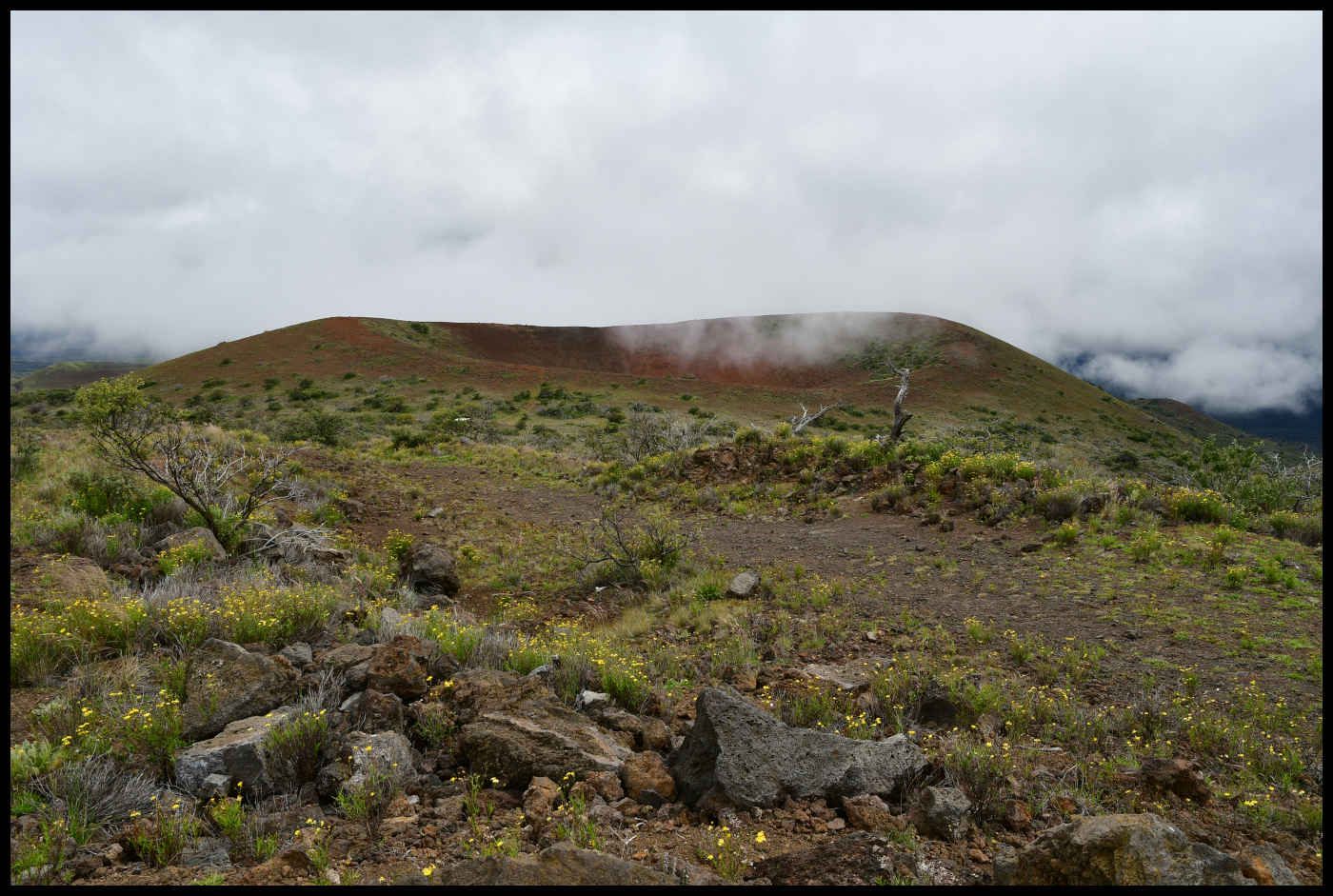 Cono de Ceniza del Mauna Kea