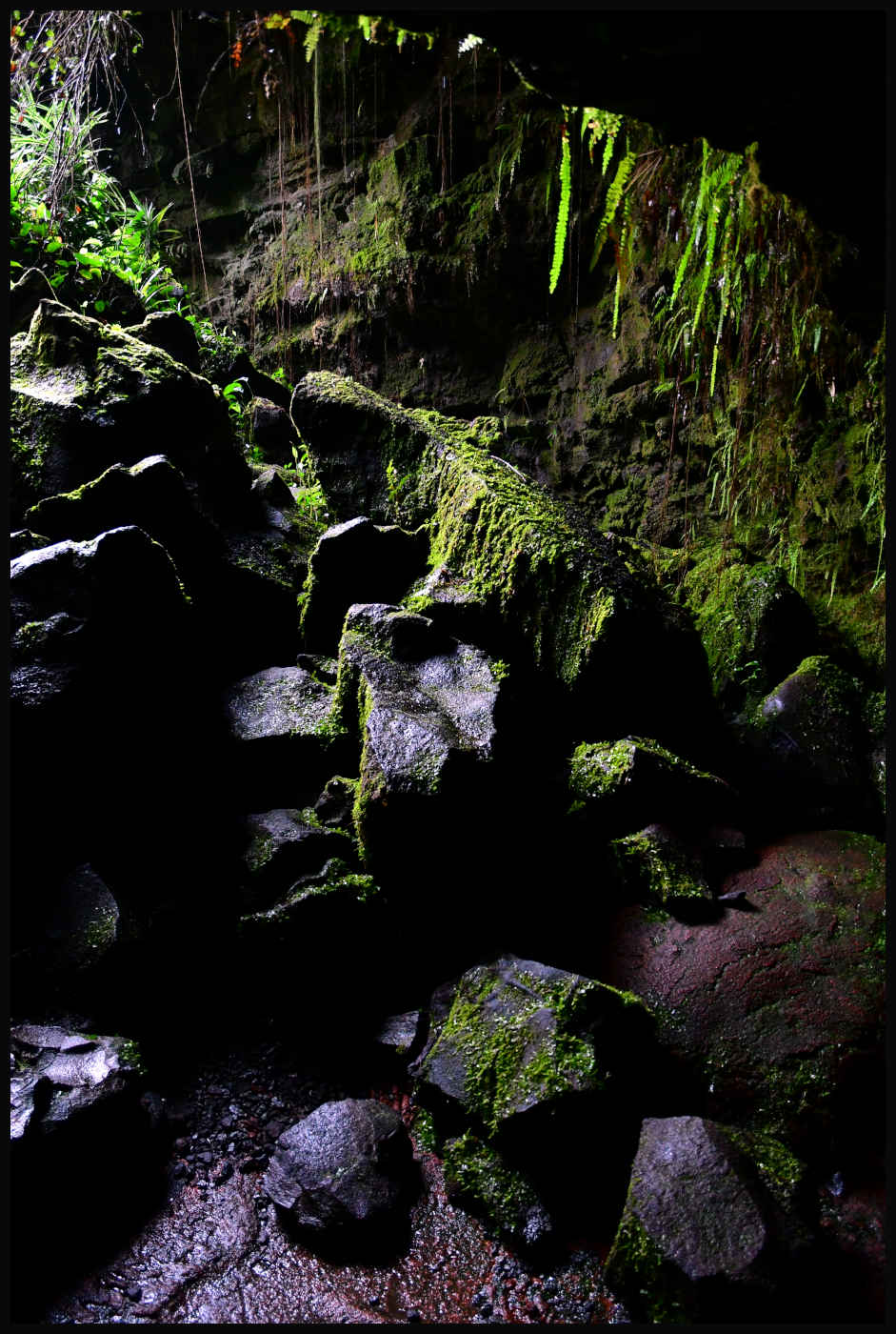 Puka - Kaumana Caves
