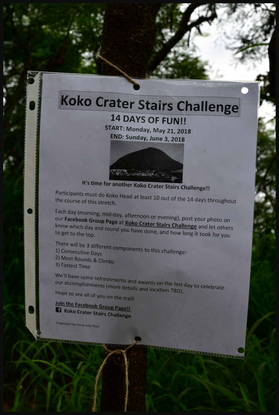 Koko Crater Stairs Challenge