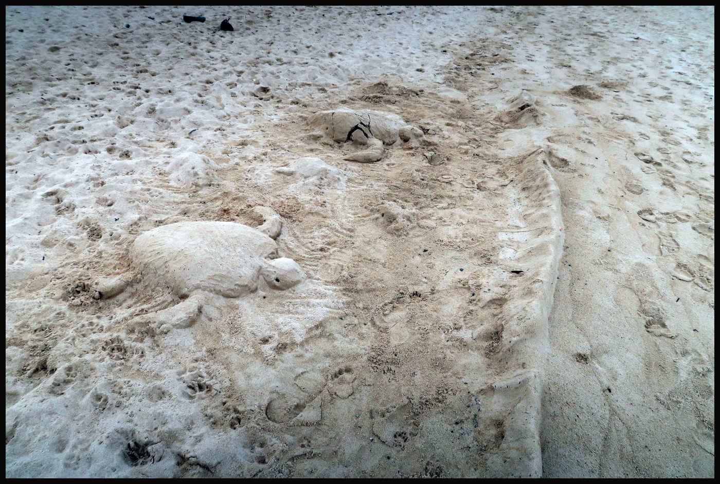 Tortugas de arena en Lanikai Beach
